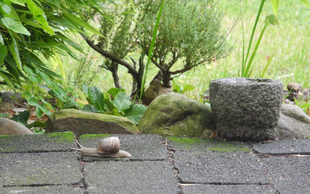 newsblog – 2 . . .