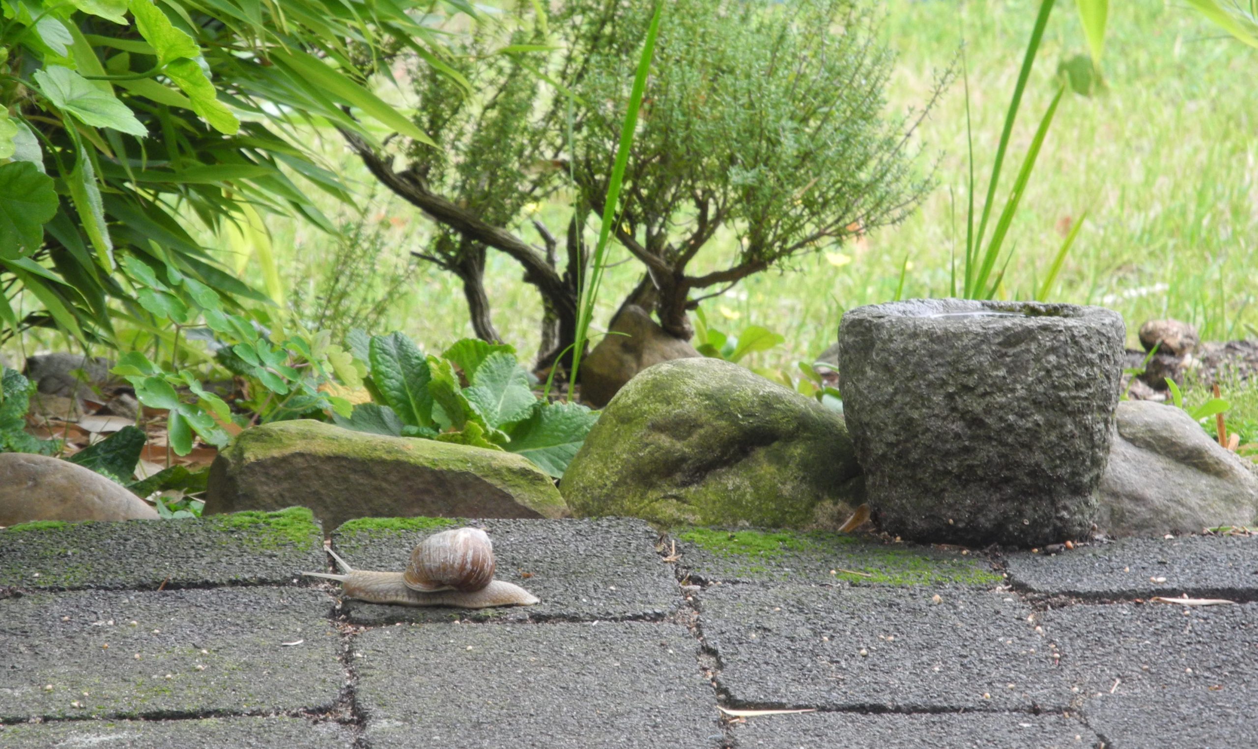 newsblog – 2 . . .